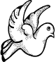 holub01.png
