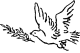 holub03.png