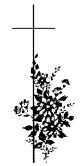 kriz49.png
