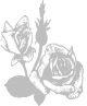 pruze01.png