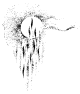 slun01.png