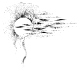 slun02_2.png