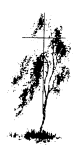 strom04.png
